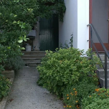 By The Sea Medici, Omis - 1046 * 미미체